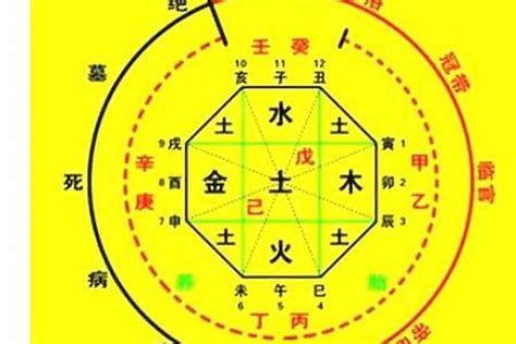 喜木火 忌金水|八字入门基础 第六篇 如何判断八字喜用神